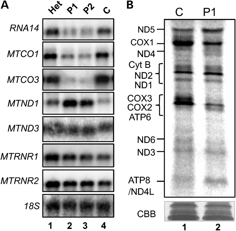 Figure 2.