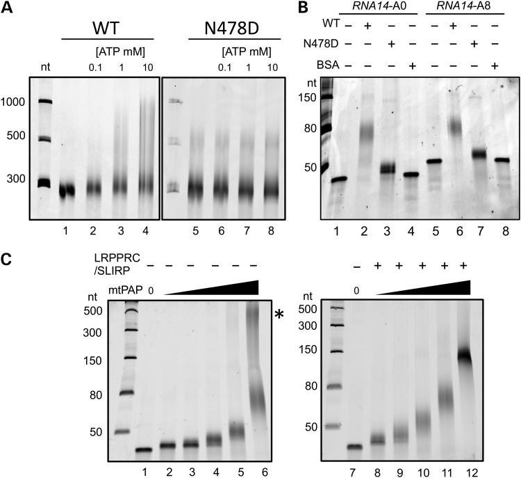 Figure 4.