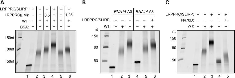 Figure 5.