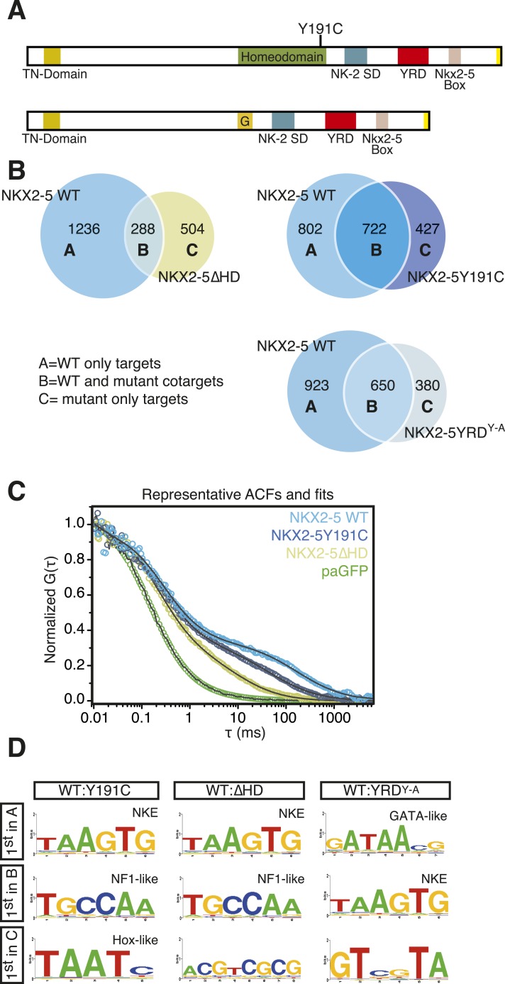 Figure 2.