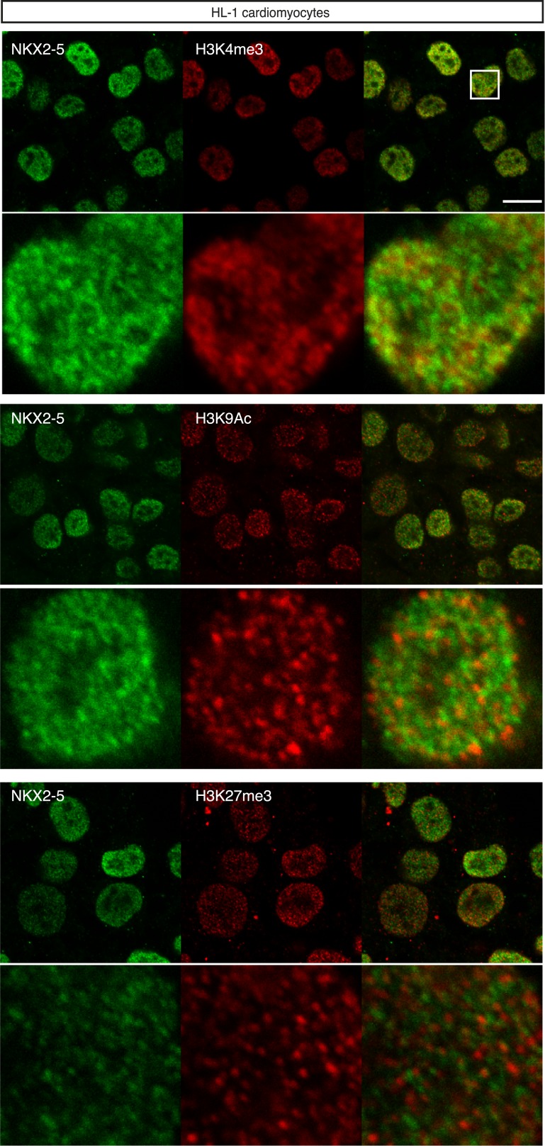 Figure 1—figure supplement 8.