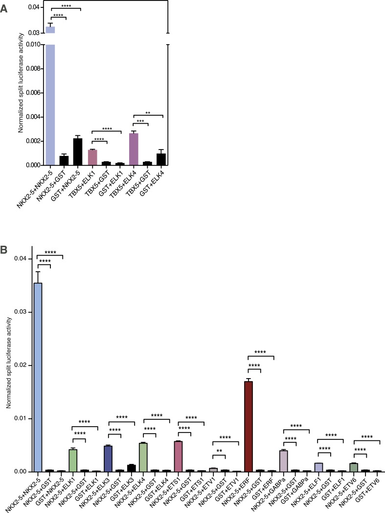 Figure 5—figure supplement 2.