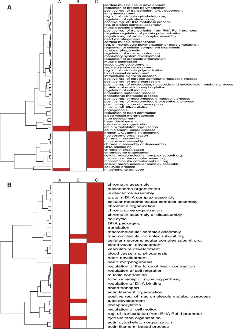 Figure 2—figure supplement 3.