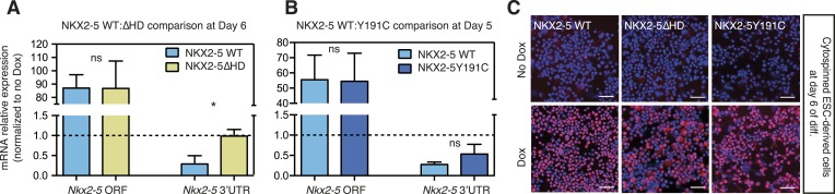 Figure 3—figure supplement 2.