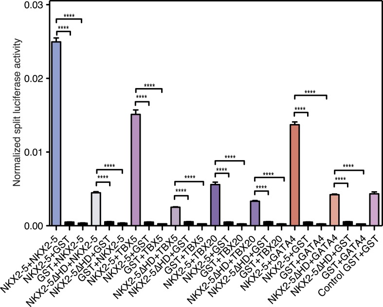 Figure 4—figure supplement 2.