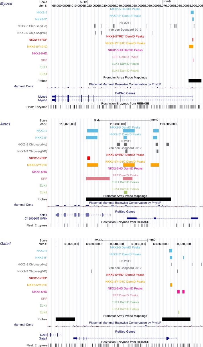 Figure 1—figure supplement 7.