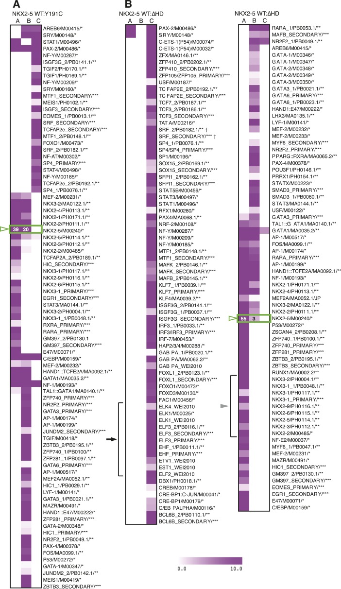 Figure 2—figure supplement 2.