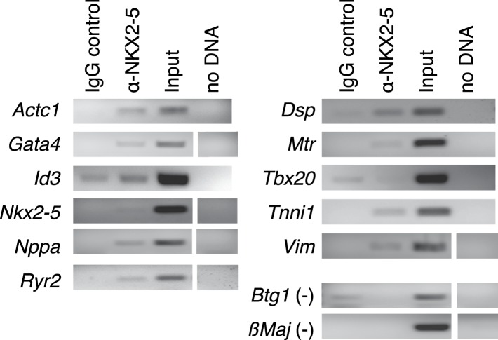 Figure 1—figure supplement 5.