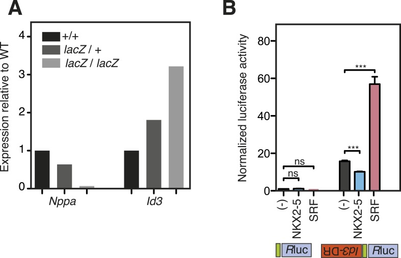 Figure 3—figure supplement 1.