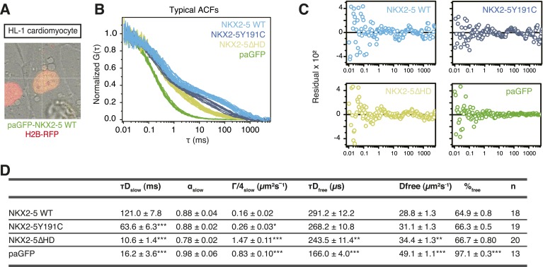 Figure 2—figure supplement 1.