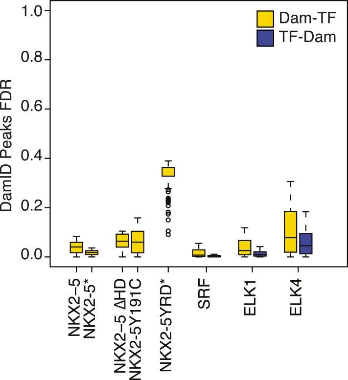 Figure 1—figure supplement 4.