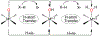 Scheme 2.