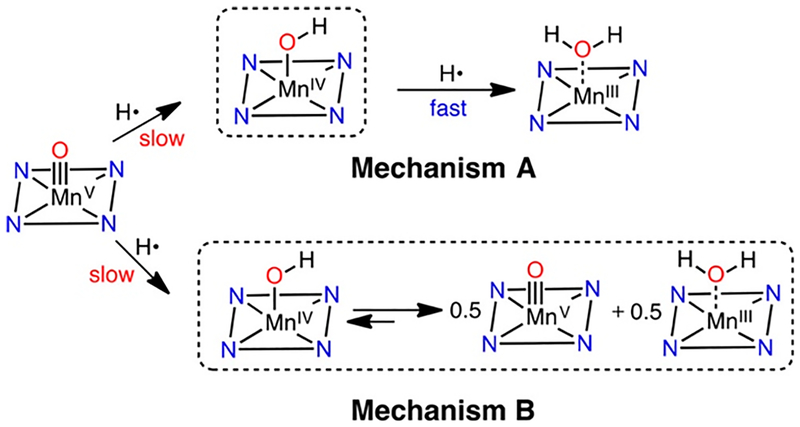 Scheme 4.