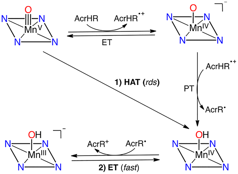 Scheme 7.