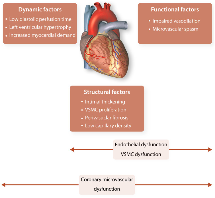 Graphical Abstract