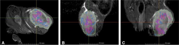 Fig. 6