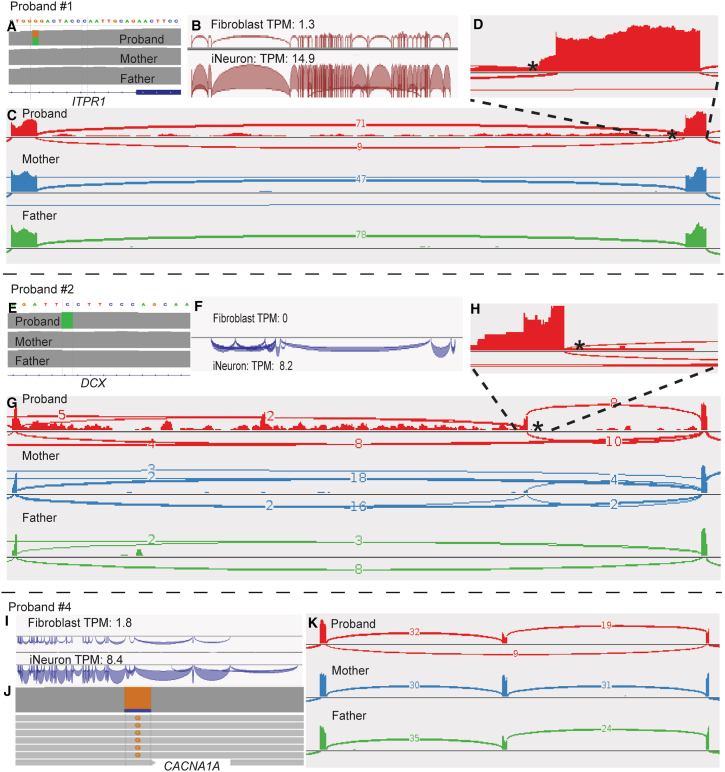 Figure 4