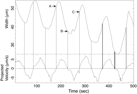 FIGURE 12