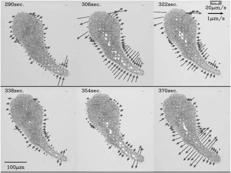 FIGURE 4