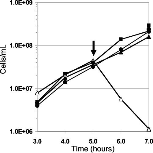 FIG. 2.