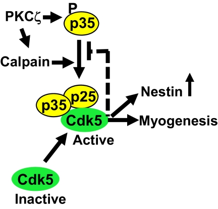 Figure 9.