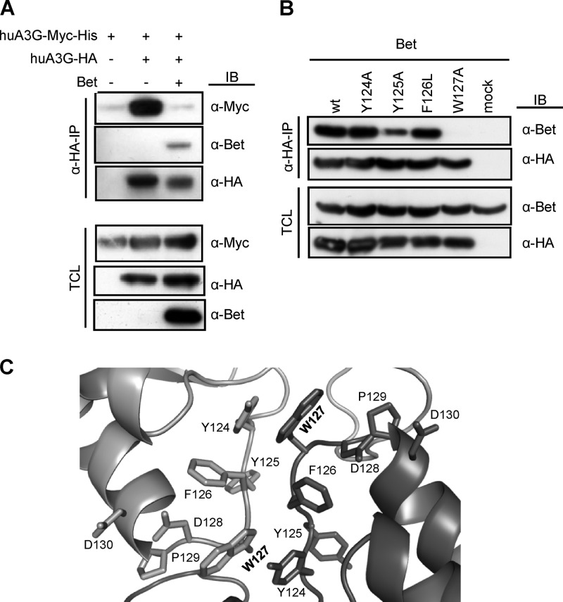 Fig 5