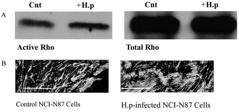 FIG. 9.