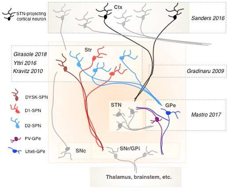 Figure 2: