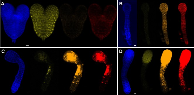 Figure 3—figure supplement 2.