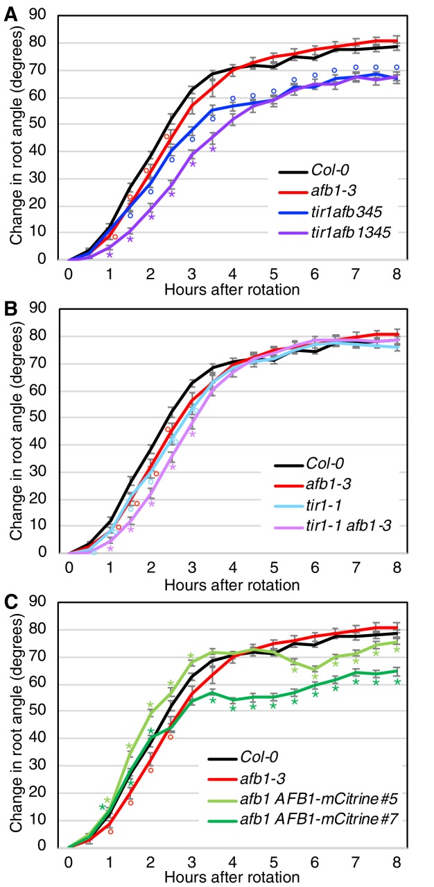 Figure 7—figure supplement 1.