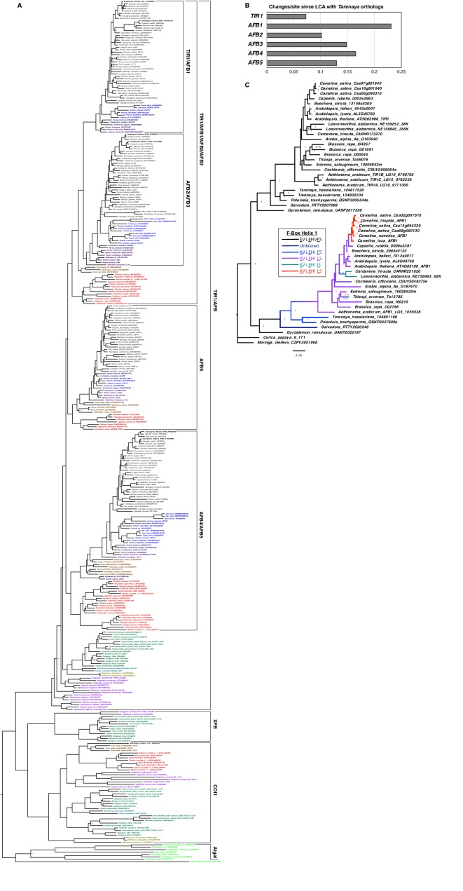 Figure 1—figure supplement 1.