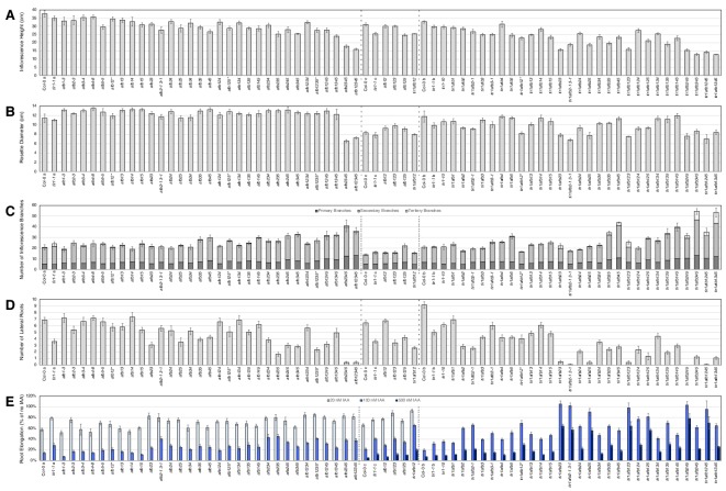 Figure 1—figure supplement 3.