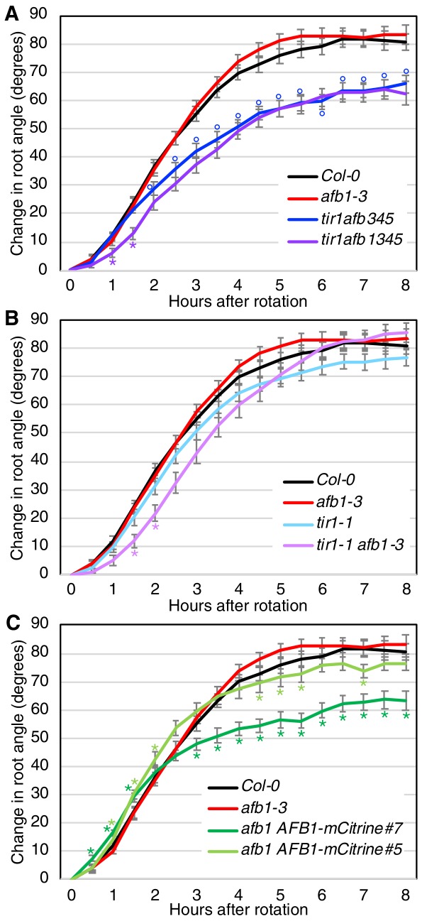 Figure 7.