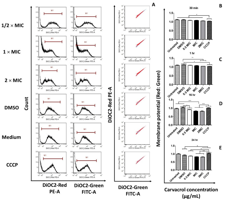 Bactericidal Activity Of Carvacrol Against Streptococcus Pyogenes