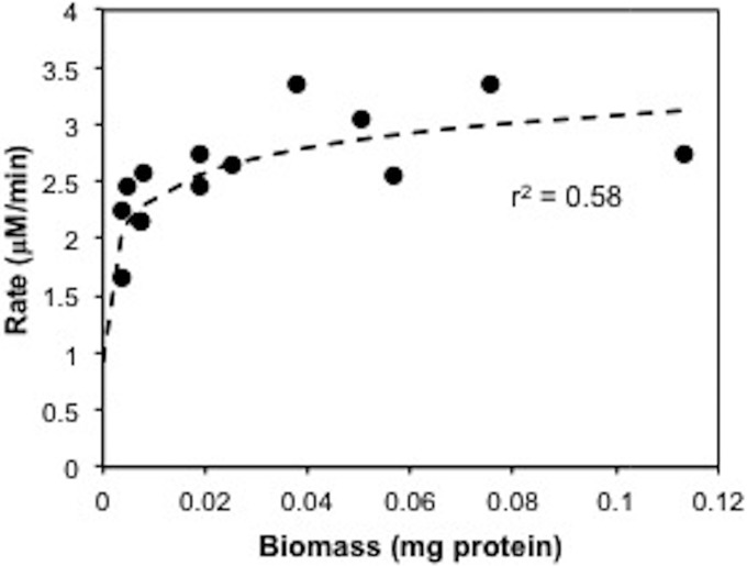 FIG 6