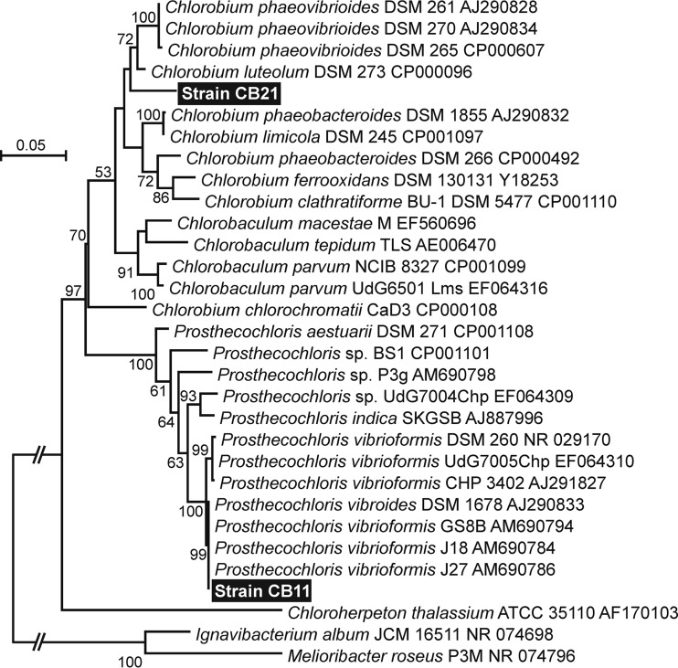 FIG 2