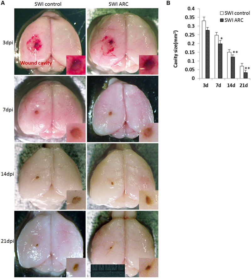 FIGURE 3