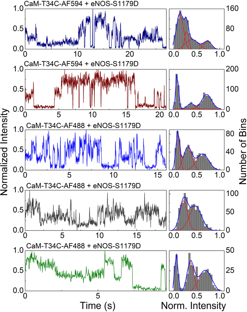 Figure 5.