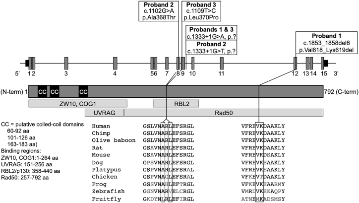 Figure 3