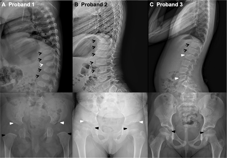 Figure 2