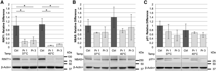 Figure 5