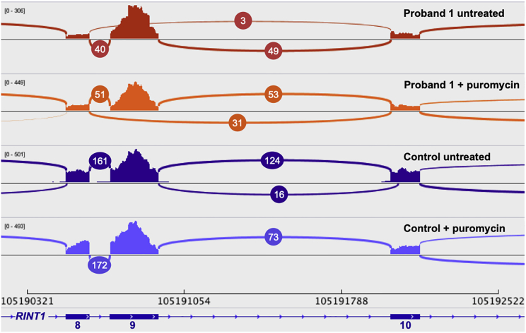 Figure 4