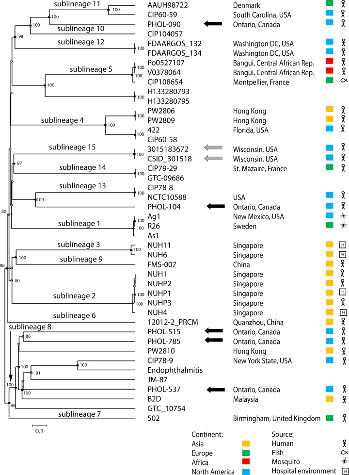 Fig. 1.