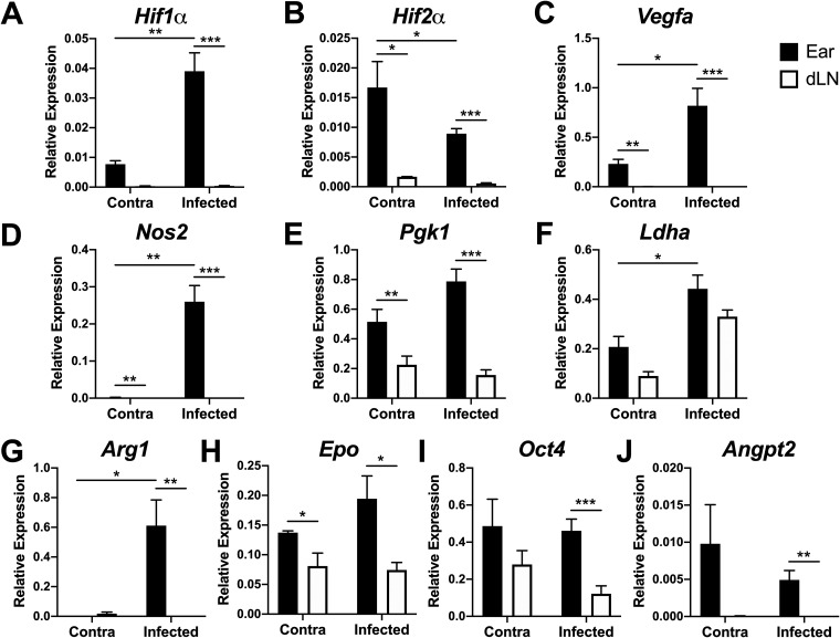 FIG 2