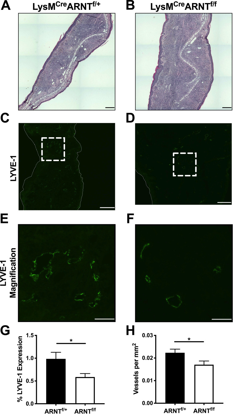 FIG 5