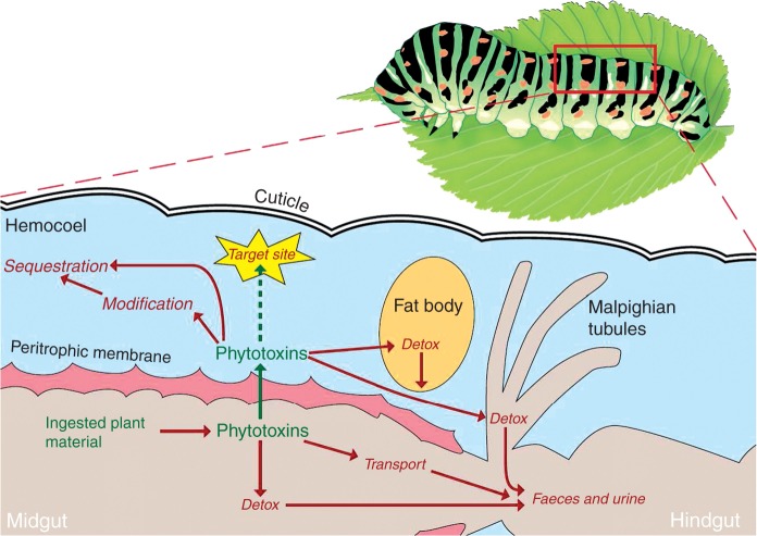 Fig. 4.