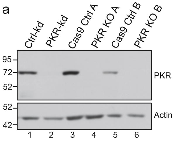 FIG. 6