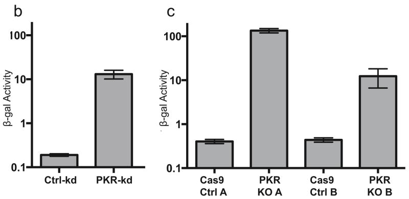 FIG. 6