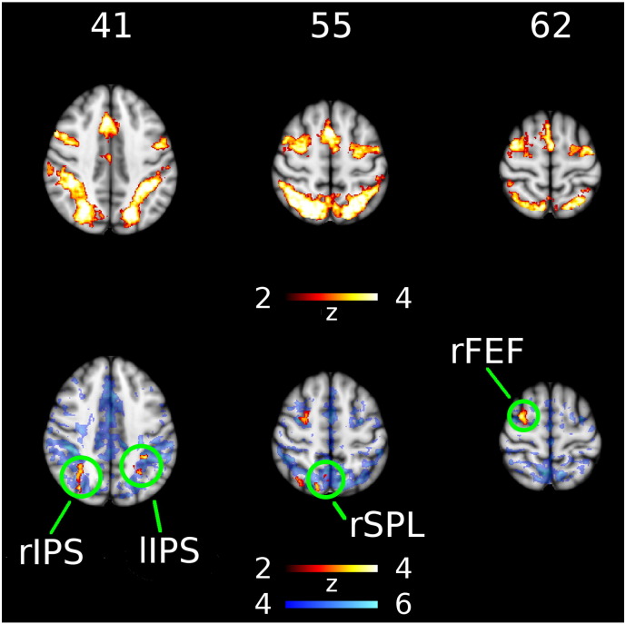 Fig. 3.