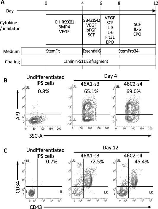 Figure 4